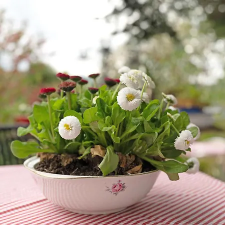 Erlebnis-bauernhof Scheunenglueck Apartment *