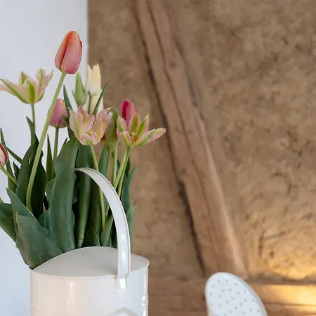 Erlebnis-bauernhof Scheunenglueck *