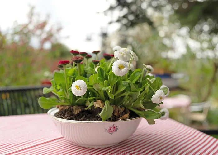 Erlebnis-bauernhof Scheunenglück Apartment *